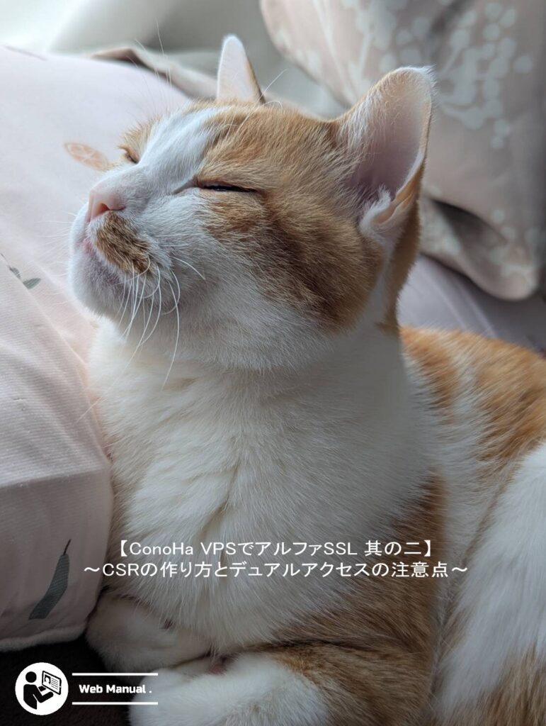 「やすらいだ猫」の画像のアイキャッチ